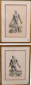 Pair of Andreas Vesalius (Belgian 1514-1564)