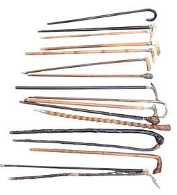 Group of Seventeen Canes and Walking Sticks