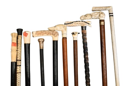 Group of Nine Canes including Bone