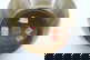 item-209836489=5