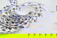 item-209836554=2
