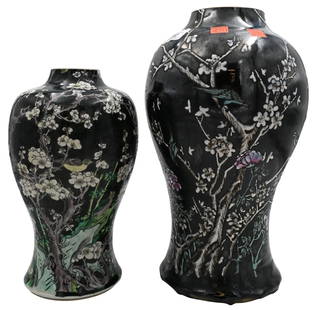Two Chinese Famille Noire Porcelain Ginger Jars: Two Chinese Famille Noire Porcelain Ginger Jars both of baluster form having cherry blossom and tree branch motif in relief enamel over black ground, accented with birds heights 14 inches