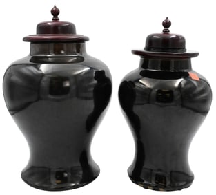 Two Chinese Porcelain Black Mirror Vases