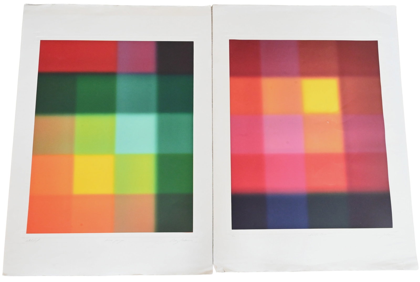 Two: Barry Nelson (British/American B.1937) Optical Art Color Field Etchings (1 of 6)