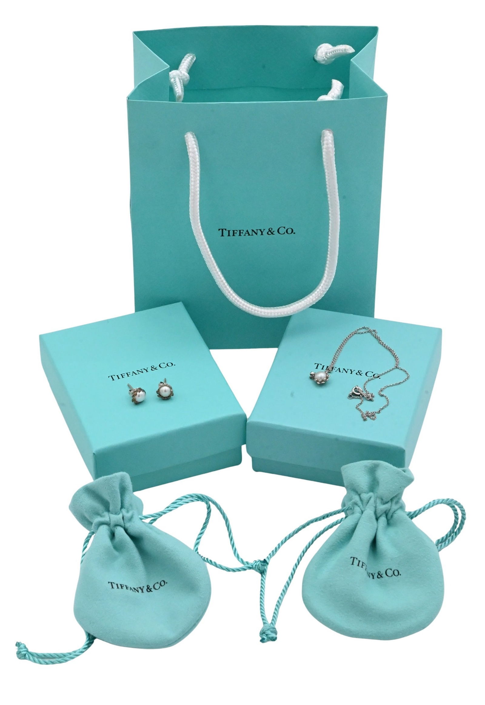 Tiffany & Co. Paloma Picasso "Olive Leaf" Sterling Silver and Pearl Necklace and Earring Set (1 of 5)