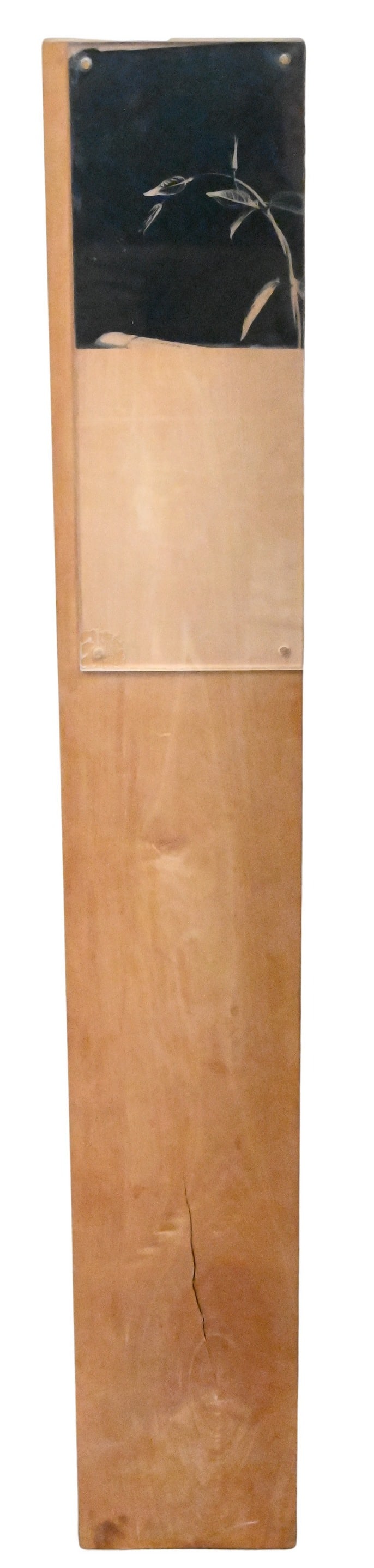 Mike and Doug Starn (American B.1961) (1 of 3)