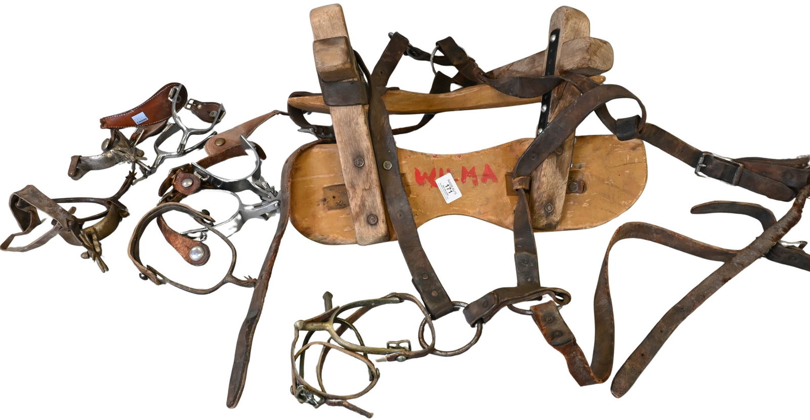 Saddle Grouping (1 of 4)