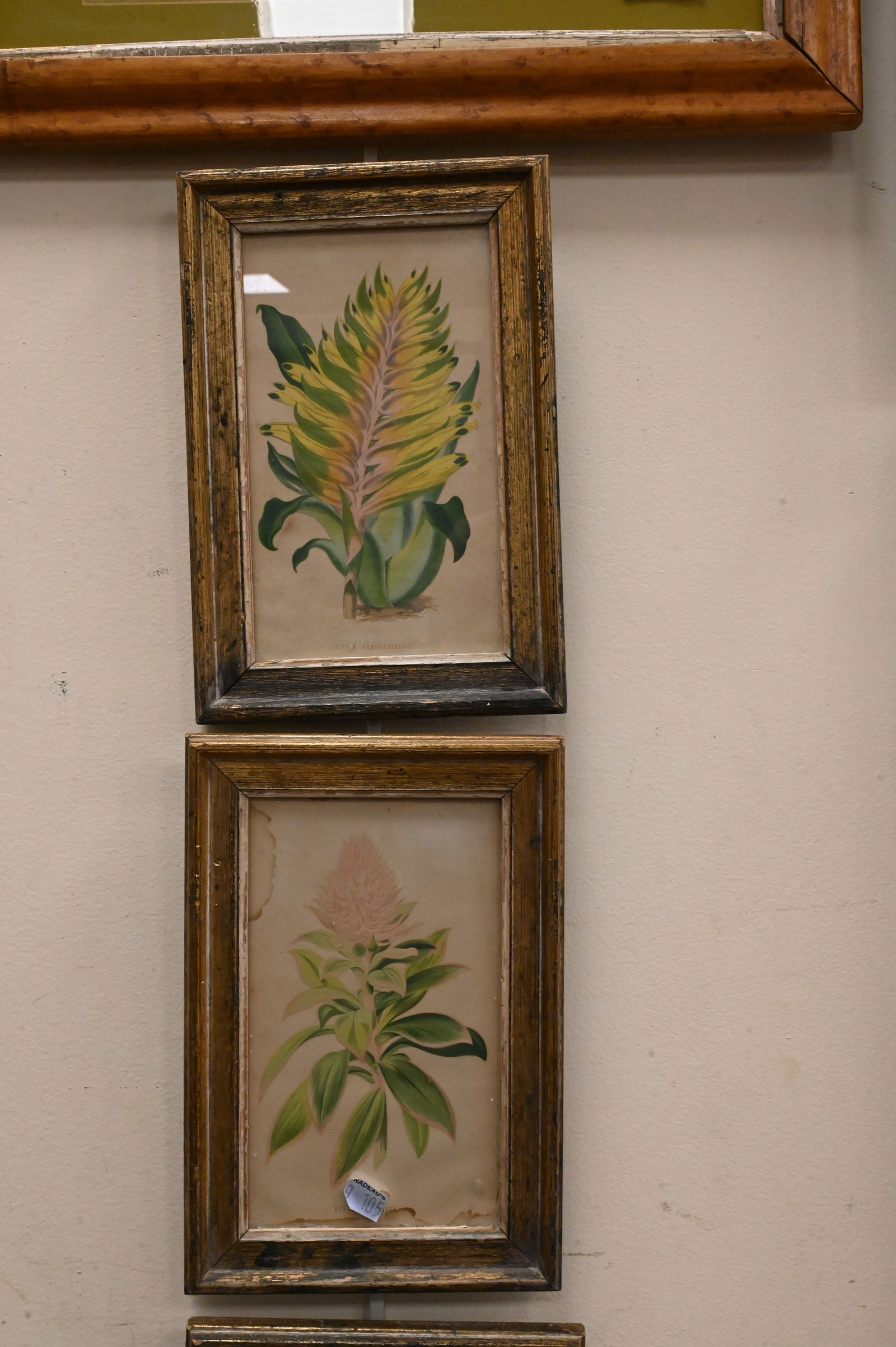 Five Framed Botanicals - 3