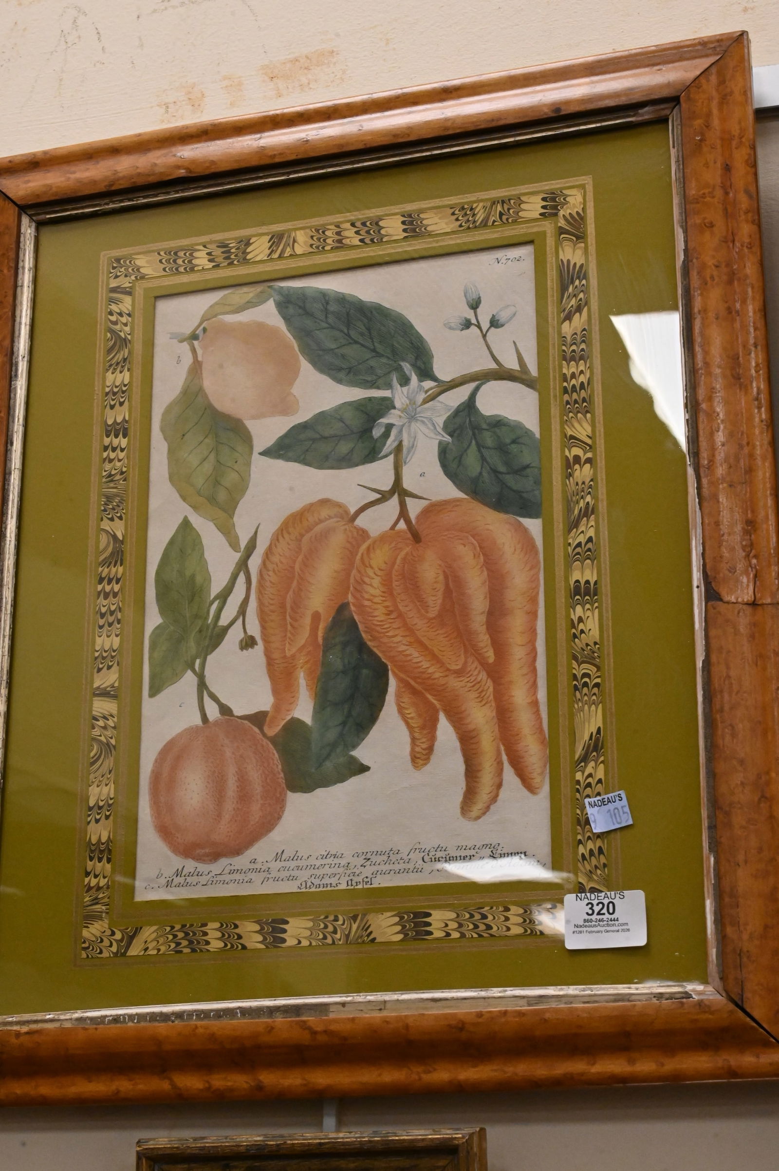 Five Framed Botanicals - 4