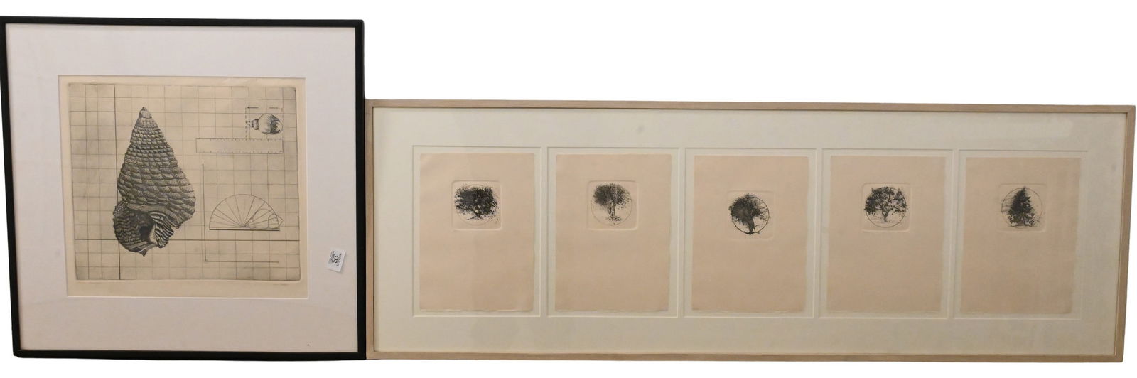 Two Framed Lisa Anne Bippart (American B.1955) Nature Studies (1 of 7)