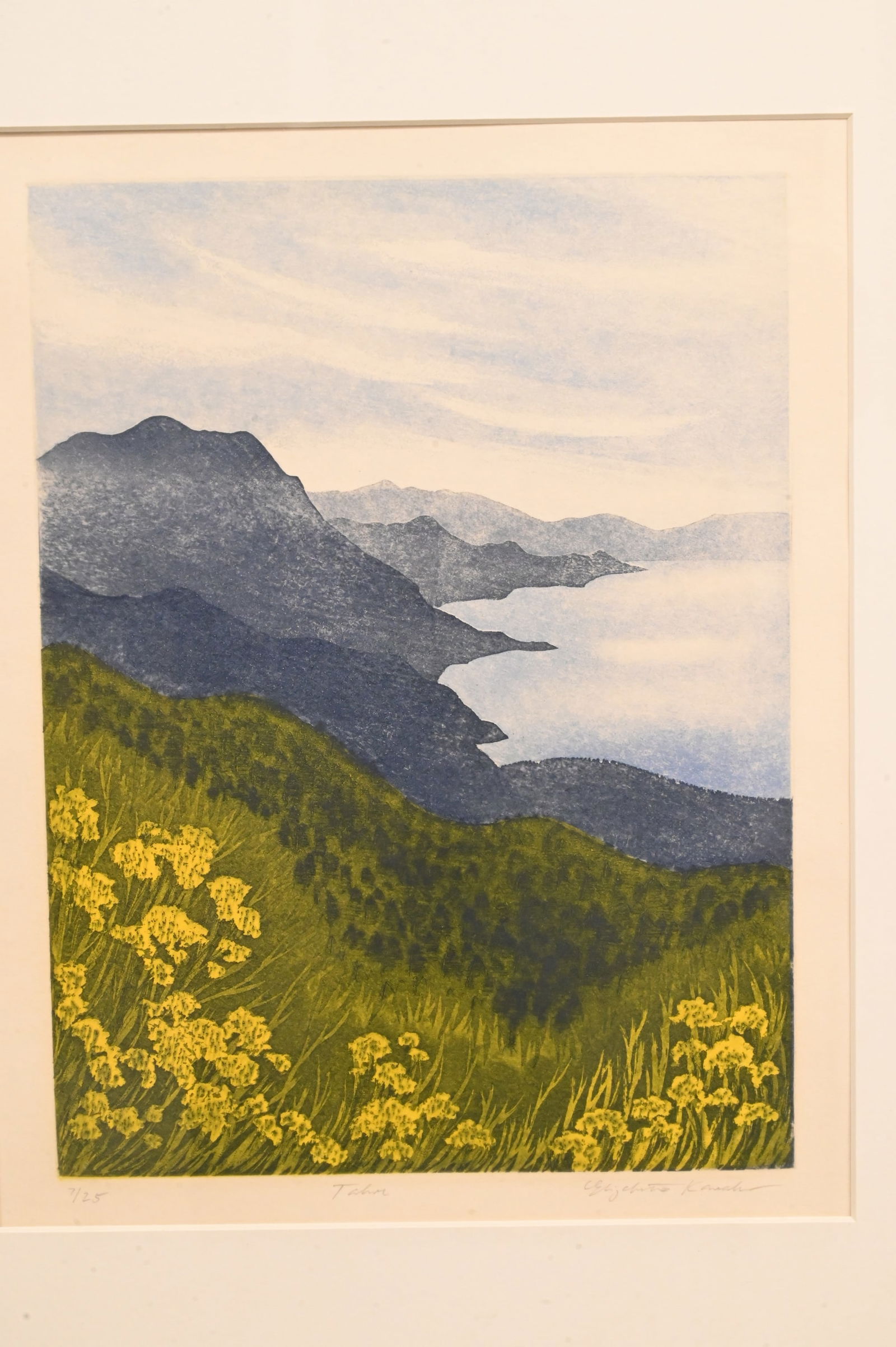 Three Framed Decorative Landscapes - 5