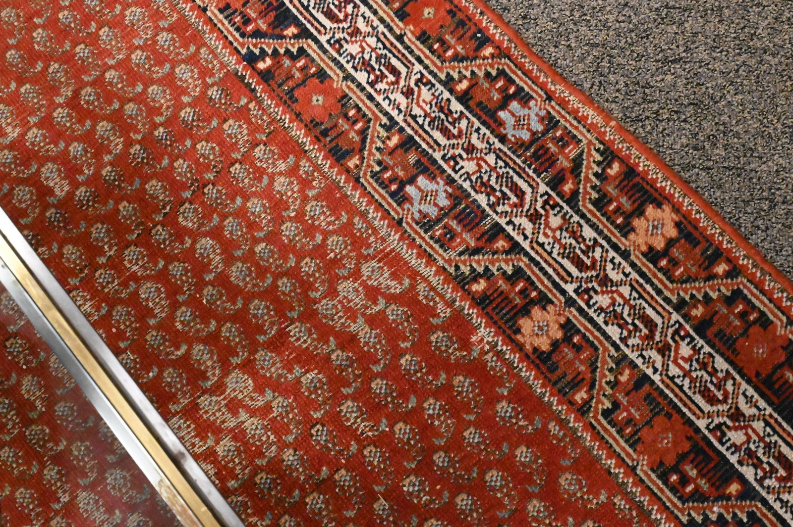 Seraband Carpet - 7