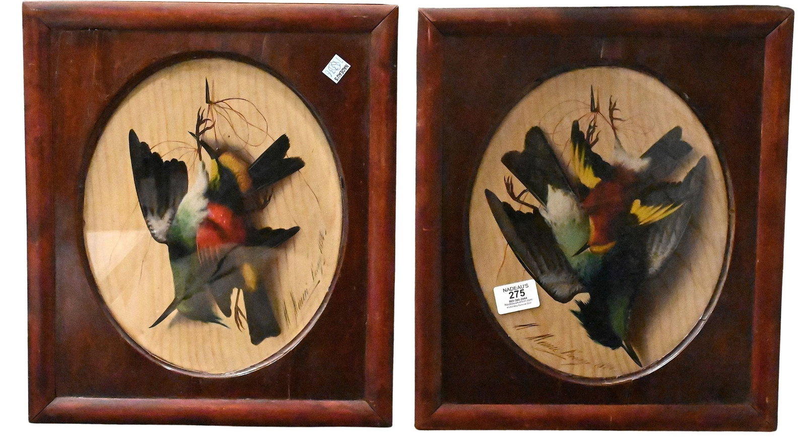 Two: Michelangelo Meucci (Italian 1840 - 1890): Two: Michelangelo Meucci (Italian 1840 - 1890) A Pair of Still Lifes of Hanging Song Birds, 1874 Both oil on board Both signed and dated M.Meucci, Firenze 1874 11" x 9" sight, 15" x 13" frame