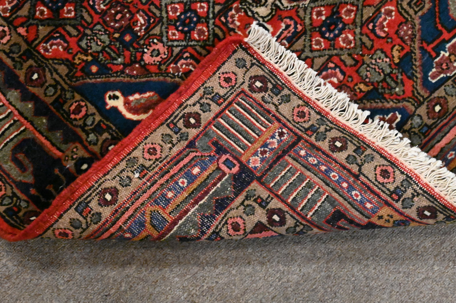 Two Oriental Rugs - 7