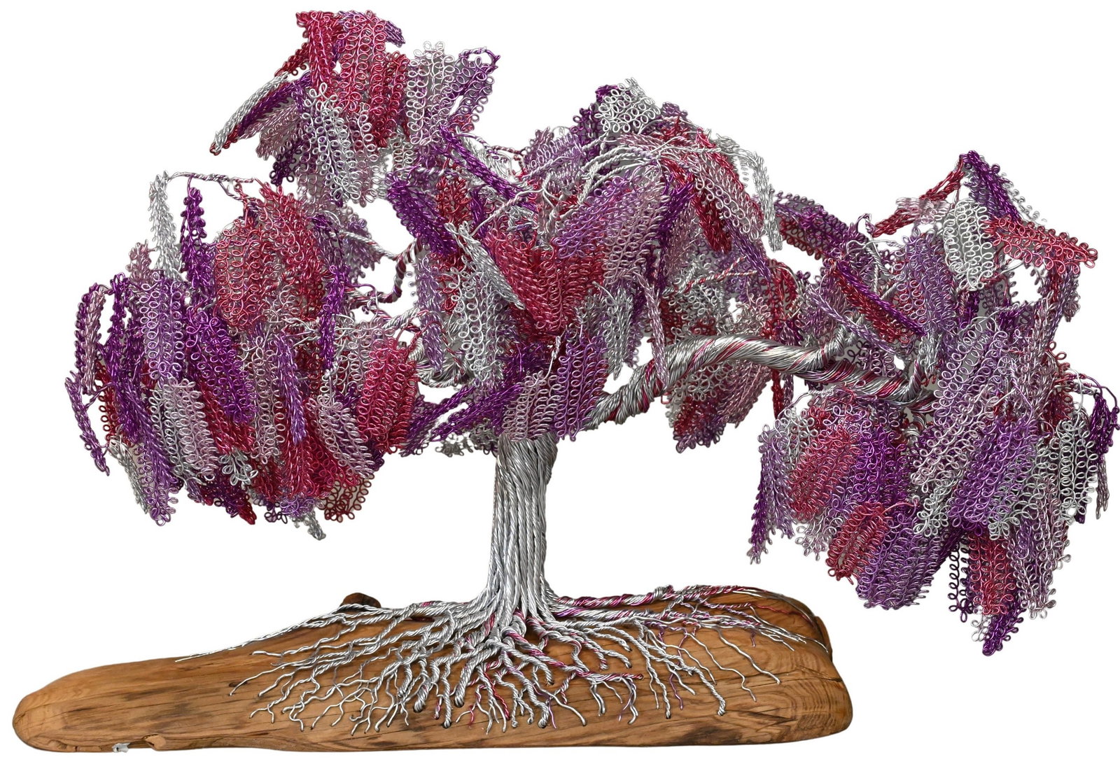 Mosche Bianche "Wisteria Falls" Zen Bonsai Tree (1 of 6)
