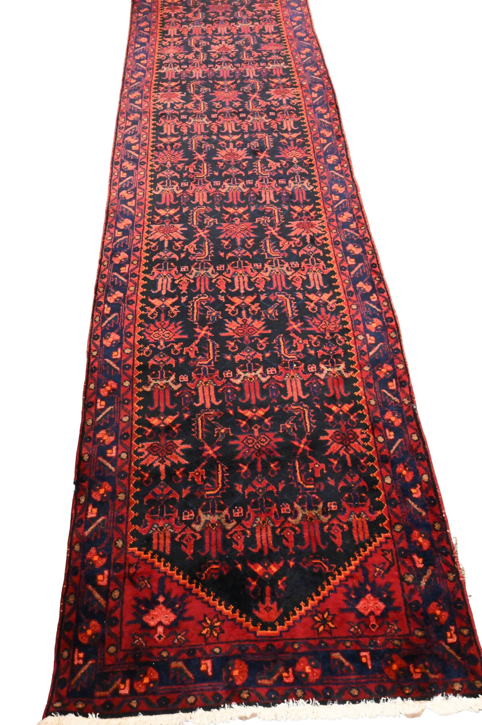 Oriental Runner: Oriental Runner 3' 7" x 17'