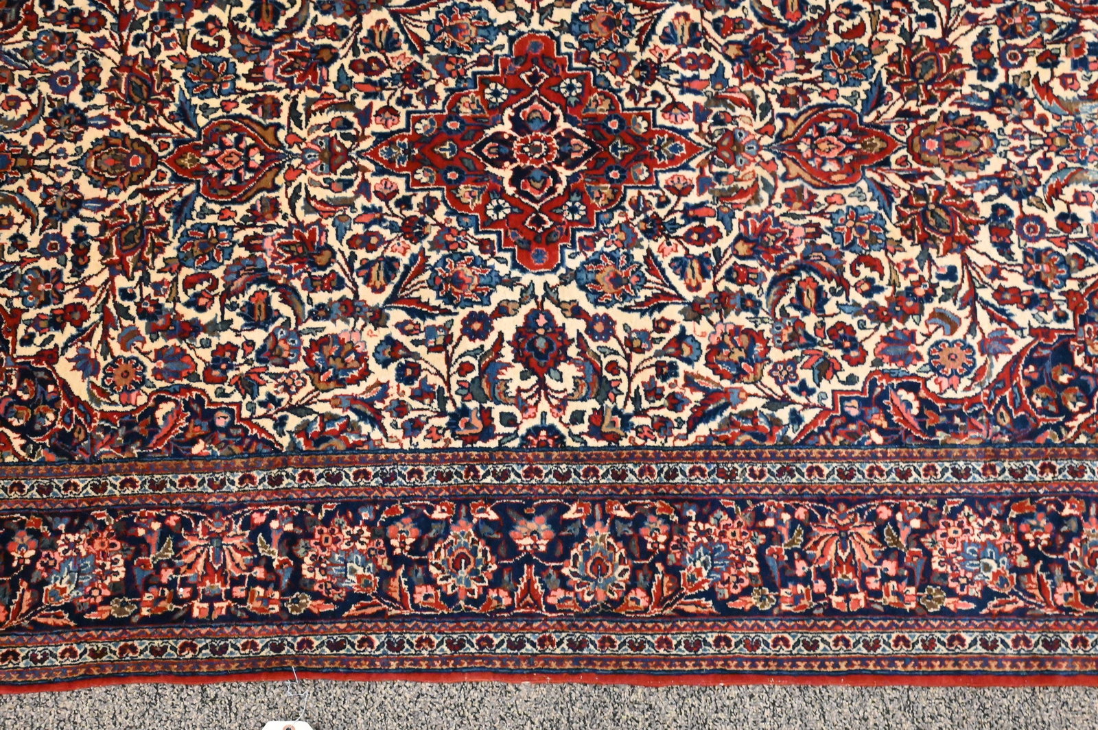 Sarouk Oriental Area Rug - 3