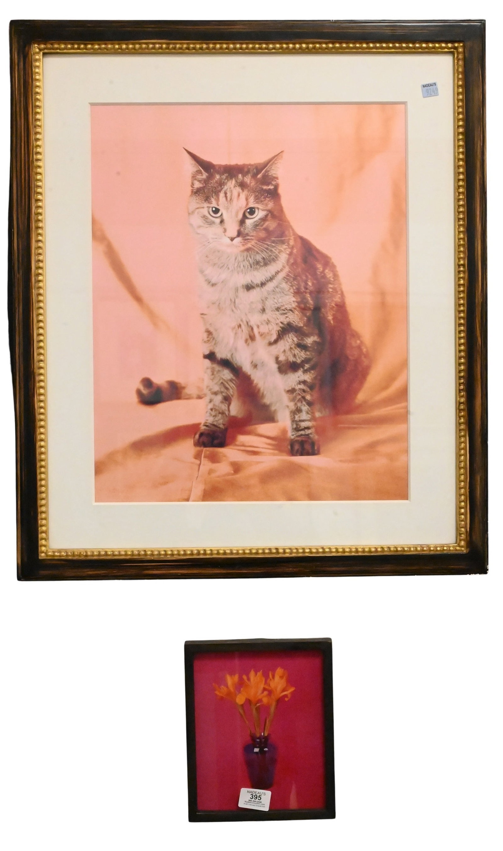 Two: Neil Winokur (American B.1945): Two: Neil Winokur (American B.1945) "Cat", From A to Z Portfolio, 2007 Cibachrome print 19 1/2" x 15" sight, 27" x 23" frame "Yellow Iris", 1987 Cibachrome print 8 1/4" x 5 5/8" photo, 8 3/4" x 7