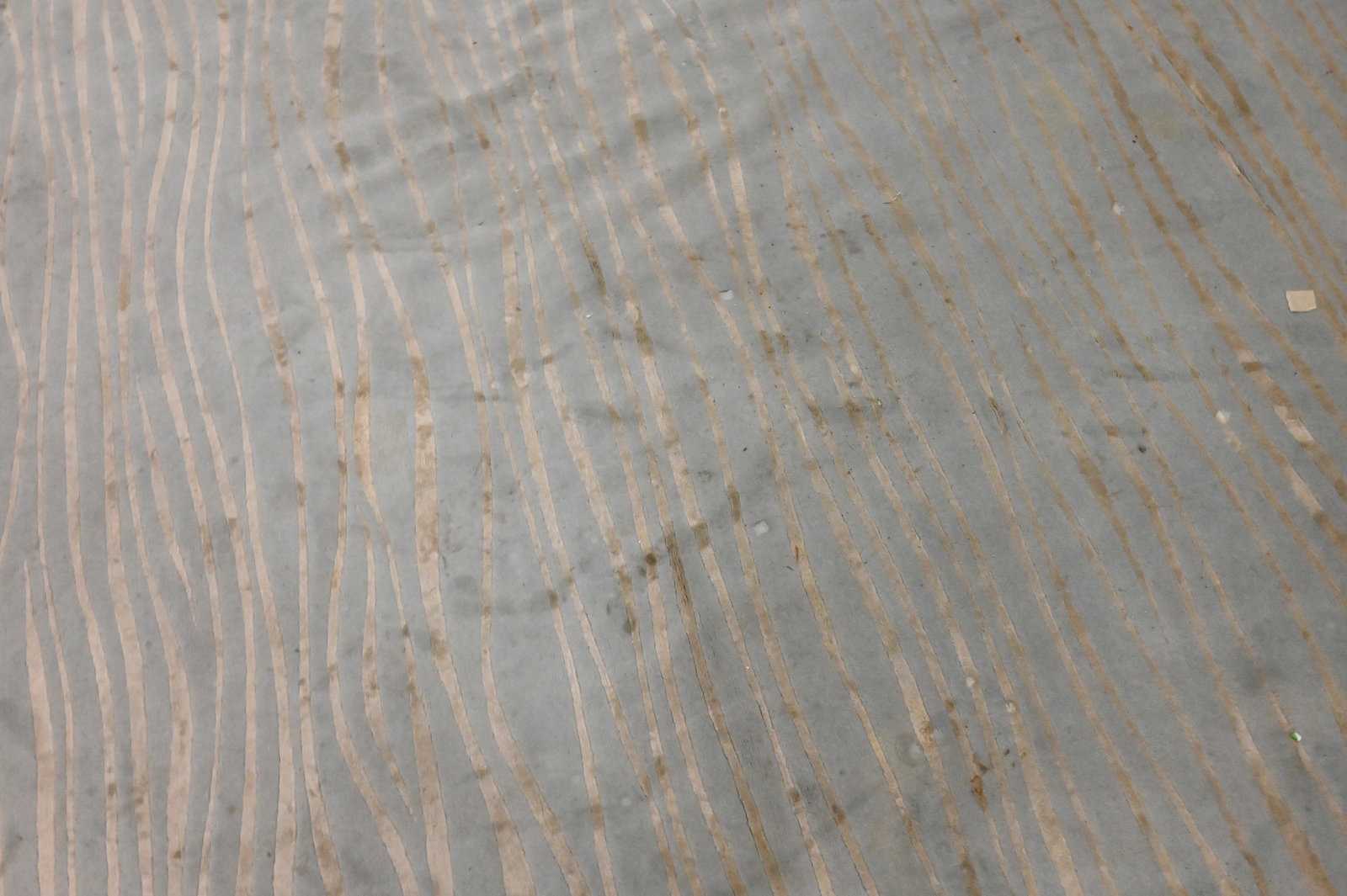 Modern Room Sized Carpet - 4