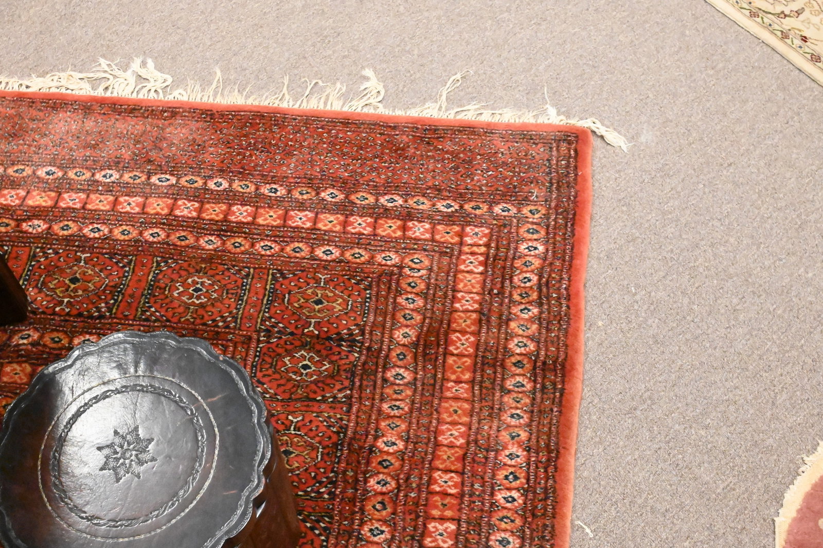 Bokhara Oriental Carpet - 5