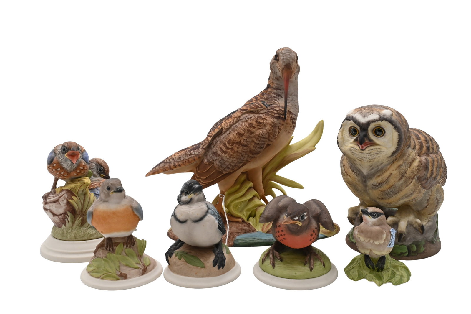 Seven Piece Boehm Porcelain Bird Group: Seven Piece Boehm Porcelain Bird Group to include limited edition porcelain "Woodcock", marked Woodcock 413, made in U.S.A.; Hedgling Western Bluebirds; Baby Blue Jay; Baby Cedar Waxwing; Baby