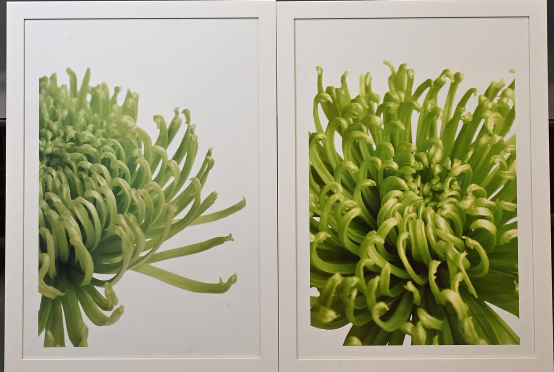 Set of Four: Jenny Kraft (American 20th/21st Century): Set of Four: Jenny Kraft (American 20th/21st Century) Green Bloom II, III, IV and V Giclee prints 39" x 27" sight, 43" x 31" frame Reference: Comparable retail price for the set is $768