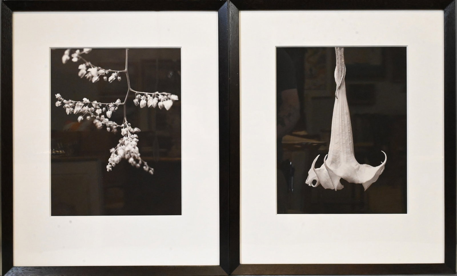 Set of Seven Framed Black and White Floral Prints: Set of Seven Framed Black and White Floral Prints 13" x 10" sight, 21 1/2" x 17 1/2" frame