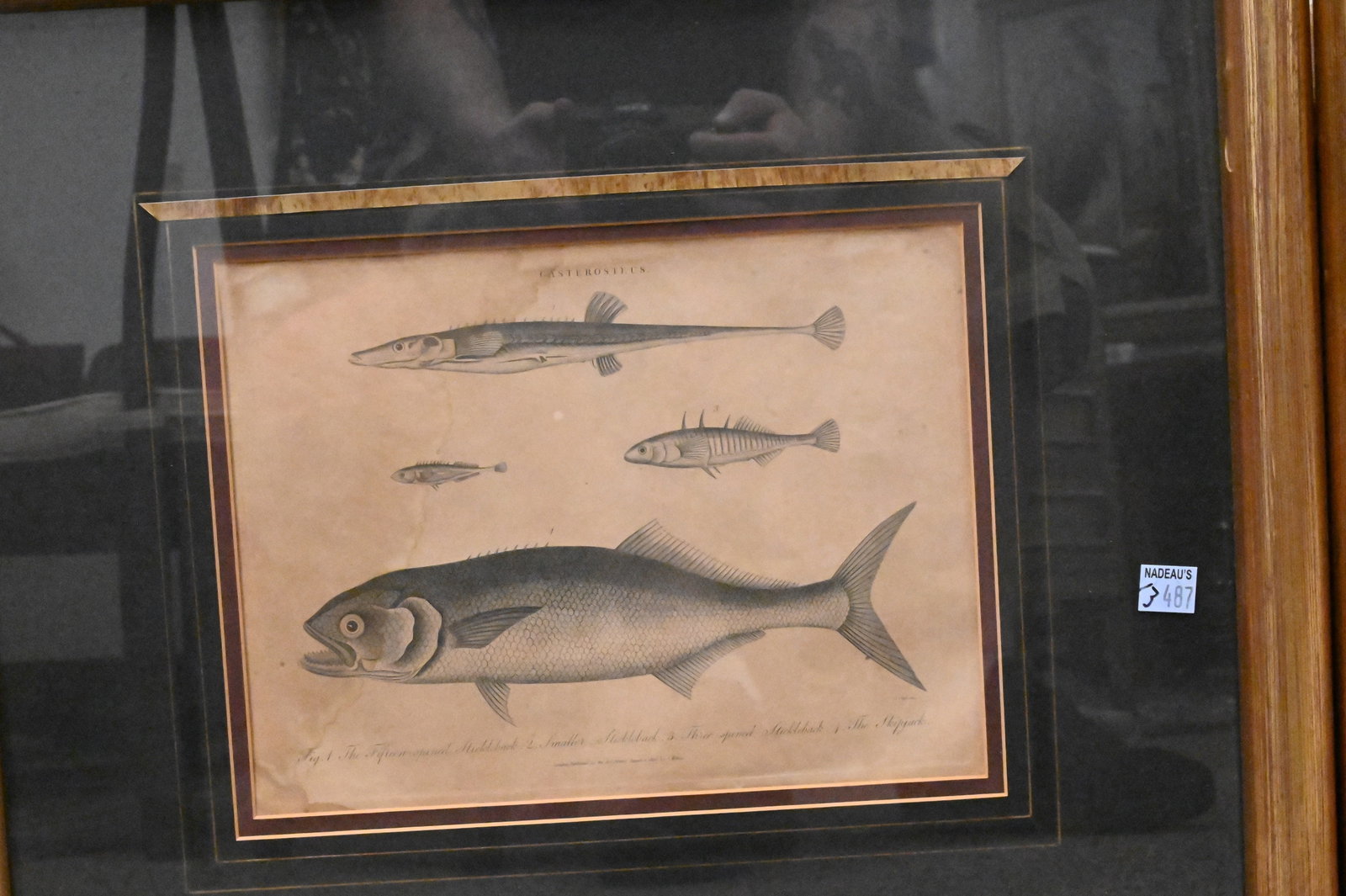 Six Framed Marine Engravings - 2