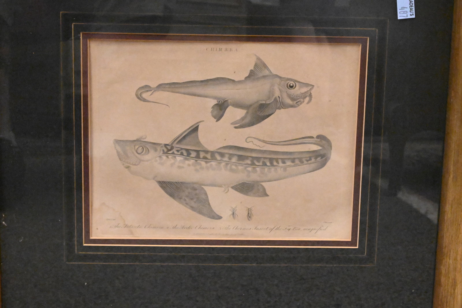 Six Framed Marine Engravings - 3