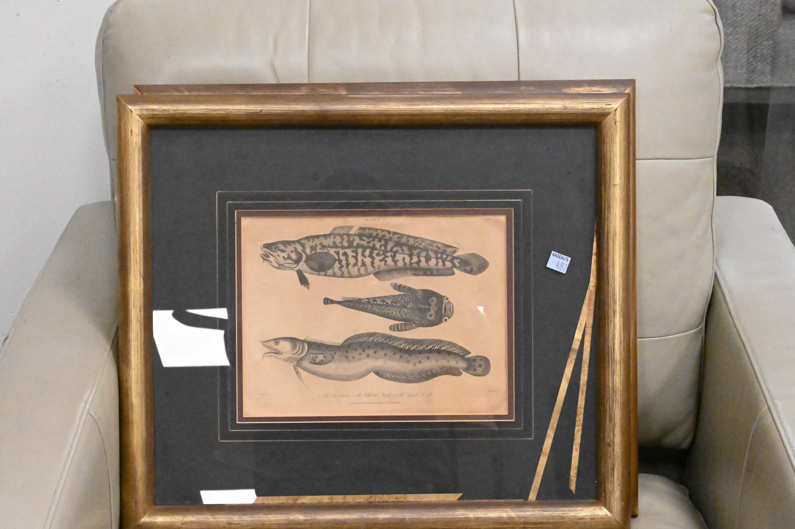 Six Framed Marine Engravings - 4