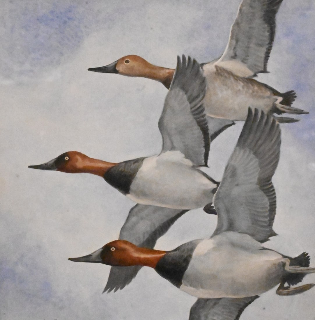 George Miksch Sutton (American, 1898–1982): George Miksch Sutton (American, 1898–1982) Three Canvasback Ducks in Flight Watercolor on paper depicting three canvasback ducks in flight against a cloudy blue sky Signed lower left George Miksch