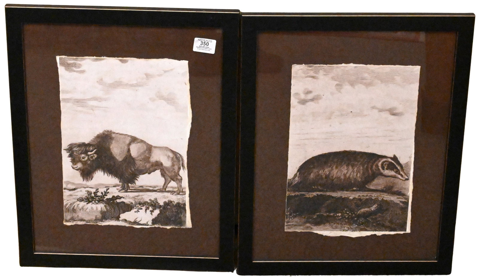 Set of Twelve Framed Reproduction Natural History Prints After Georges-Louis Leclerc (French,: Set of Twelve Framed Reproduction Natural History Prints After Georges-Louis Leclerc (French, 1707–1788) to include examples depicting bison, porcupine, deer, bobcat, badger, bear, water buffalo,
