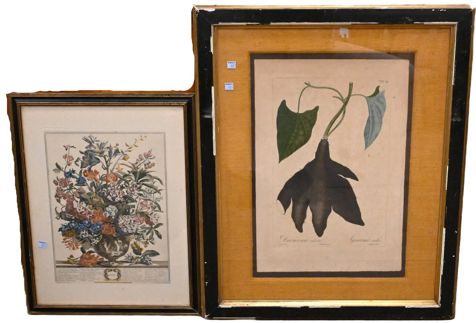 Group of Four Framed Botanical Prints (1 of 6)