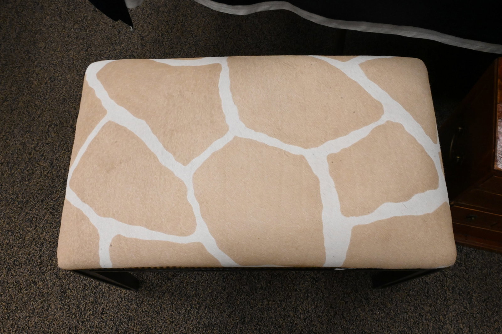 Oly Studio "Hilary" Bench - 3