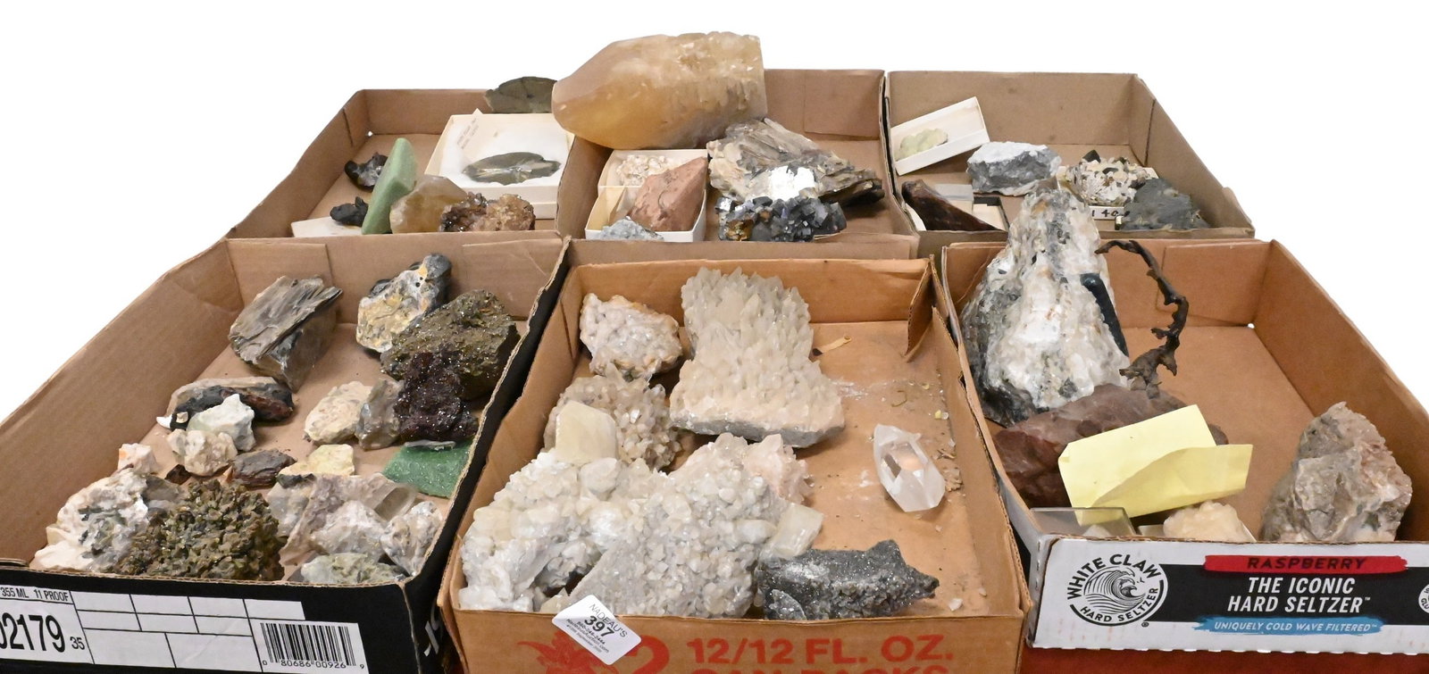 Large Fossil, Petrified Wood, and Mineral Collection (1 of 9)