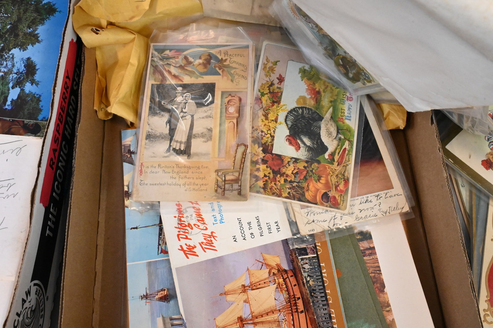 Large Postcard Collection - 14