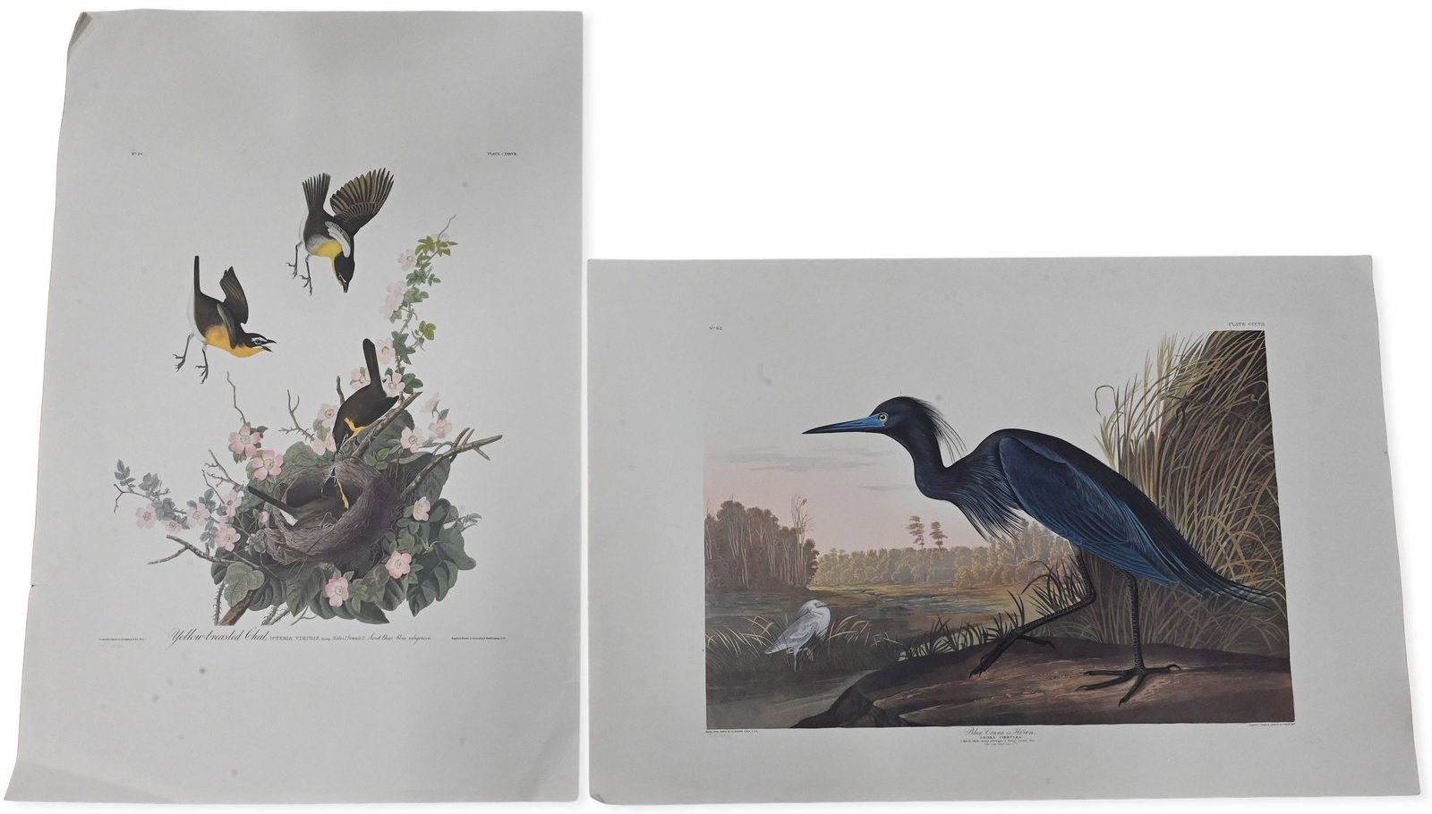 Three: After John James Audubon (American, 1785-1851) (1 of 3)