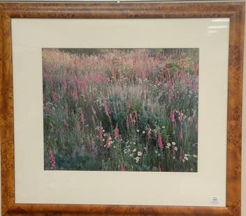 Christopher Burkett (1951) Cibachrome "Sunrise: Christopher Burkett (1951) Cibachrome "Sunrise Foxglove and Wildflowers Oregon 1993" printed 1994 print #12 signed in pencil on mat lower right signed and titled on reverse sight size 18" x 23"