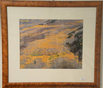 Christopher Burkett (1951)  Cibachrome  Elk Mountain: Christopher Burkett (1951) Cibachrome Elk Mountain signed in pencil lower right sight size 18" x 23"