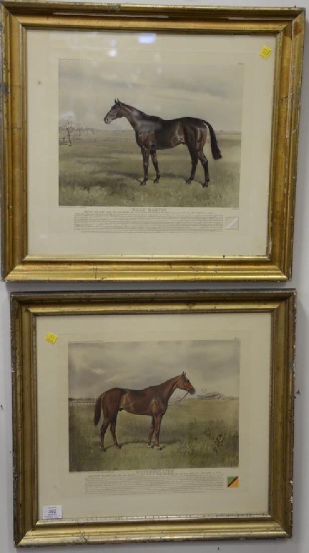 Pair of colored horse prints after Franklin Brooke Voss (1 of 3)