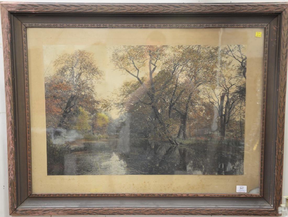 Three Wallace Nutting prints including "Water Maples",