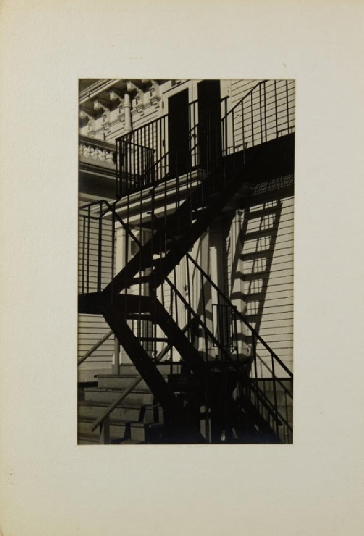 Photograph By Debbie Ripley (1 of 4)