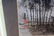 Chiese Painting - 8