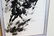 Antique Chinese Brush Scroll Painting - 9