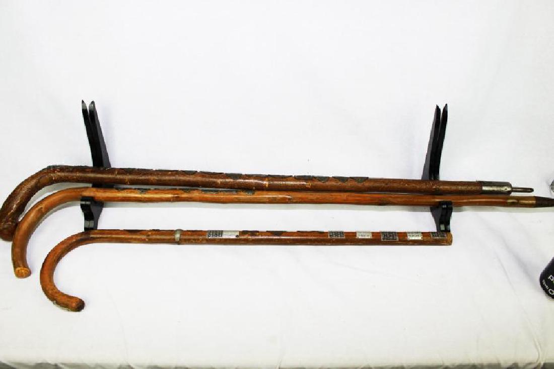 German Mountain Hiking Canes 20th Century (1 of 10)