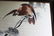 Antique Hand Carved Chinese Silk Painting - 5