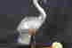 item-129494241=4