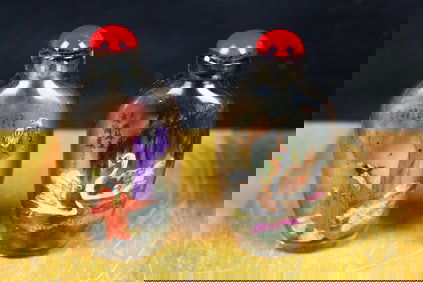 Chinese Glass inside painting snuff bottles