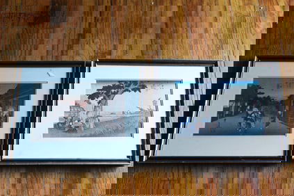 Japanese blocks painting Hiroshige