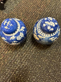 A pair chinese Ginger jar prunus pattern